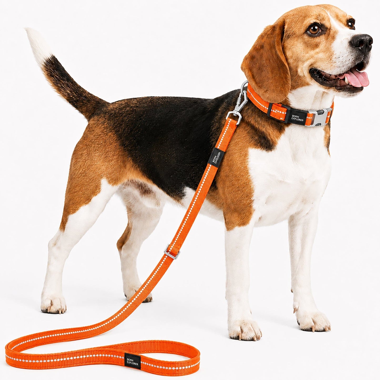 Pet Life ® 'Advent' Outdoor Series 3M Reflective 2-in-1 Durable Martingale Training Dog Leash and Collar