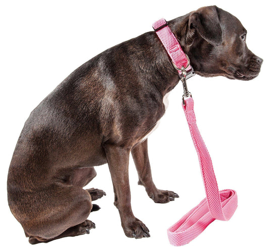 dog-collar-leash-set-2-in-1-breathable-mesh-walking-luxury-view-2 | Majestic Pet Kingdom