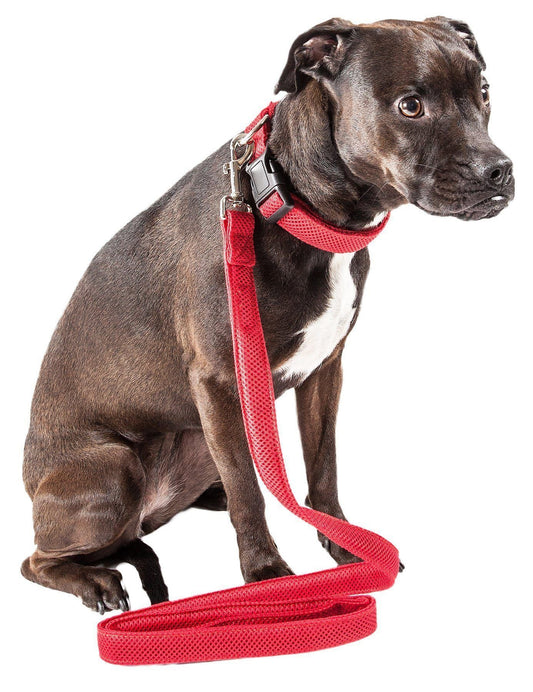 dog-collar-leash-set-2-in-1-breathable-mesh-walking-luxury-view-1 | Majestic Pet Kingdom