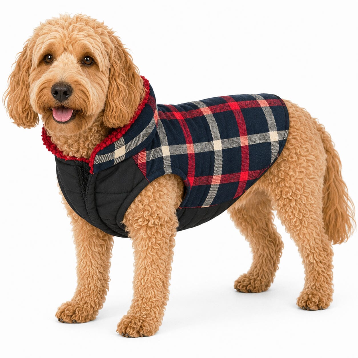 Pet Life ®  'Allegiance' Classical Insulated Plaid Fashion Dog Jacket