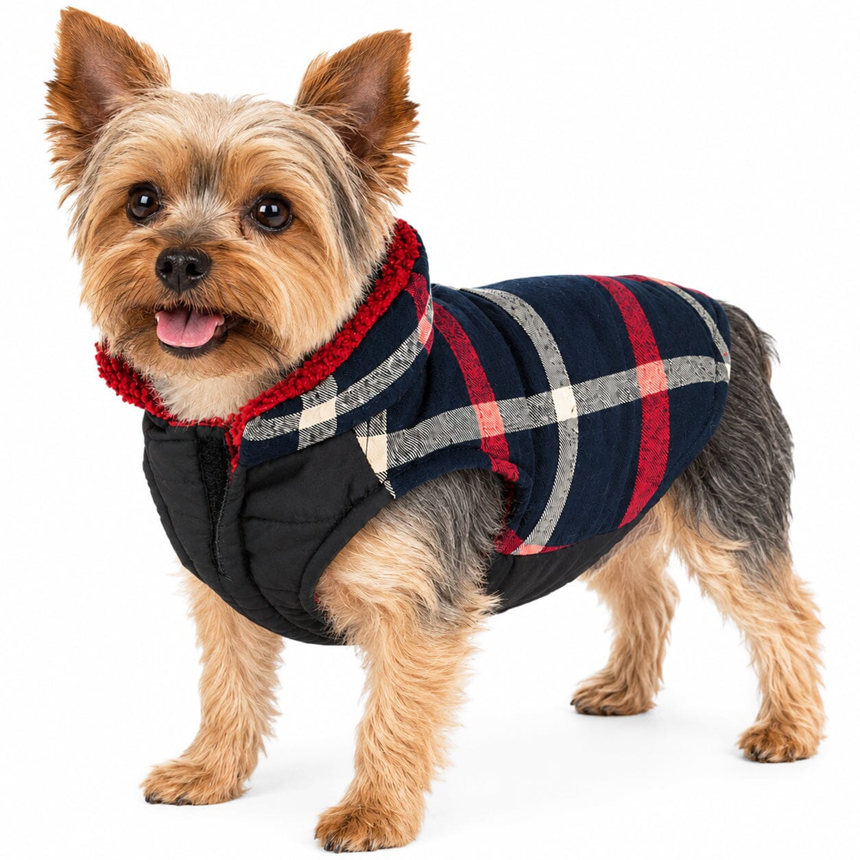 Pet Life ®  'Allegiance' Classical Insulated Plaid Fashion Dog Jacket