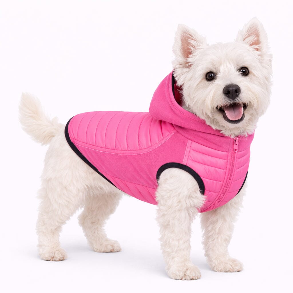 Pet Life ® 'Apex' Lightweight Hybrid 4-Season Stretch and Quick-Dry Dog Coat w/ Pop out Hood