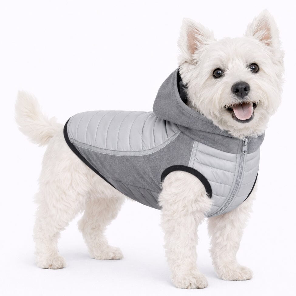 Pet Life ® 'Apex' Lightweight Hybrid 4-Season Stretch and Quick-Dry Dog Coat w/ Pop out Hood