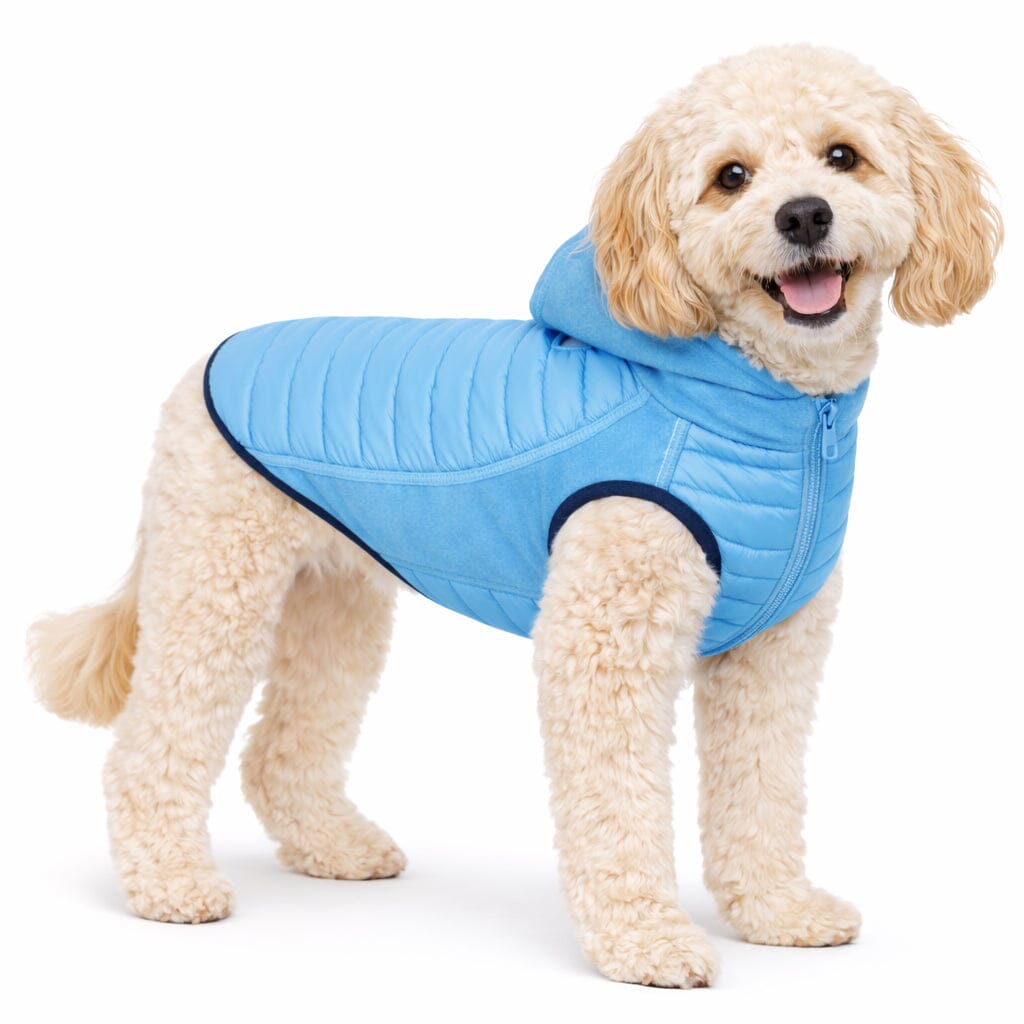 Pet Life ® 'Apex' Lightweight Hybrid 4-Season Stretch and Quick-Dry Dog Coat w/ Pop out Hood