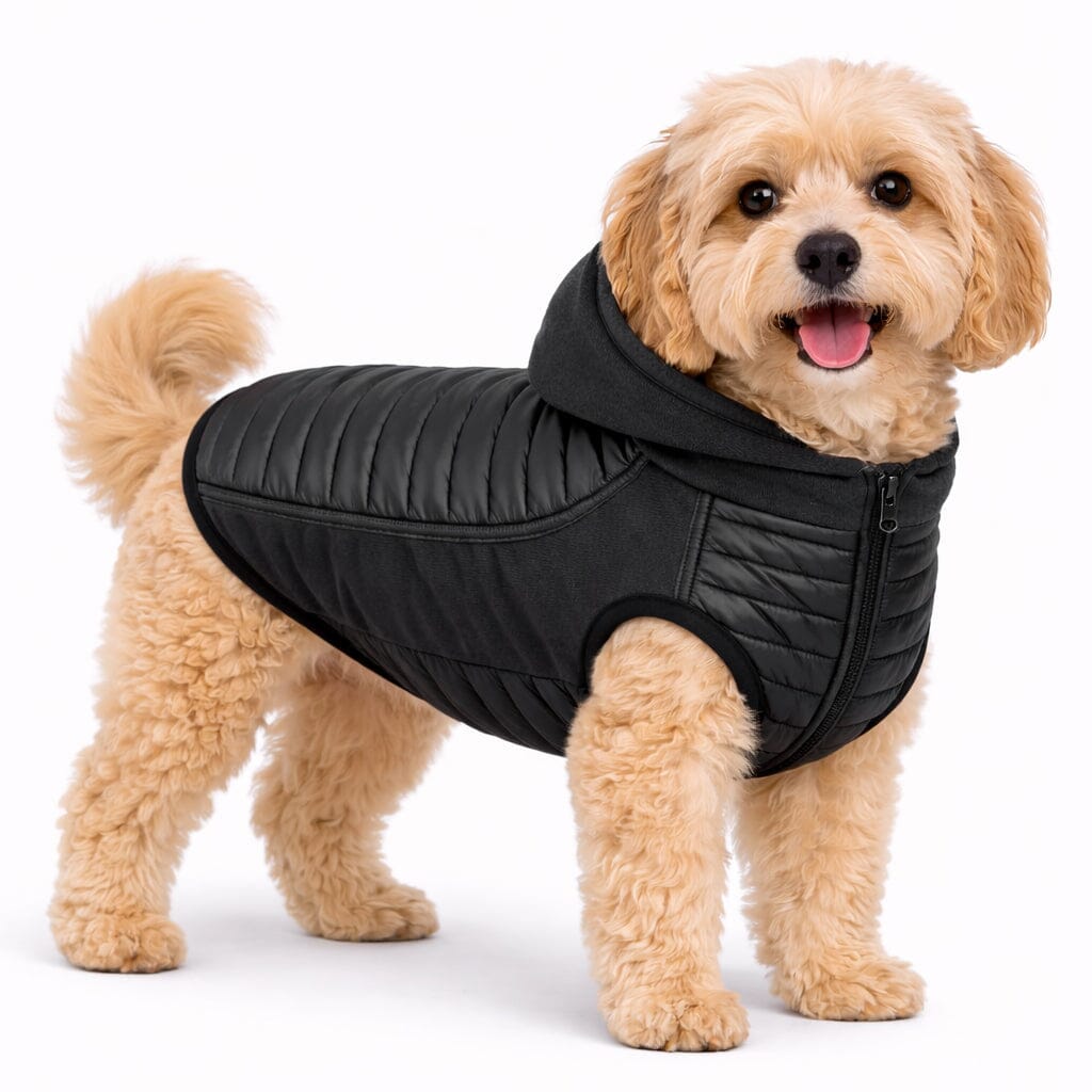 Pet Life ® 'Apex' Lightweight Hybrid 4-Season Stretch and Quick-Dry Dog Coat w/ Pop out Hood