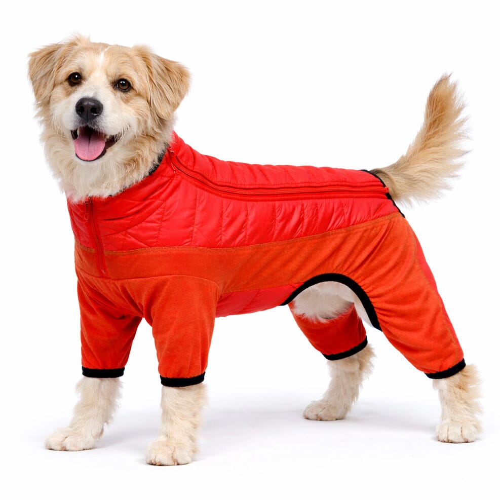 Pet Life ® 'Aura-Vent' Lightweight 4-Season Stretch and Quick-Dry Full Body Dog Jacket