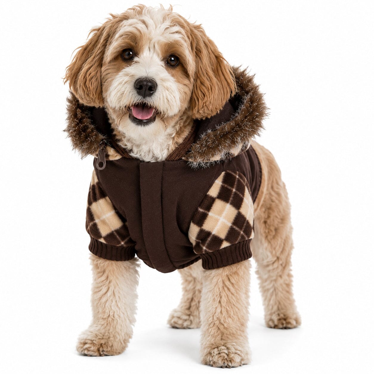 Pet Life ® 'Aygyle Style' 3M Insulated Designer Patterned Suede Dog Coat w/ Removable Hood