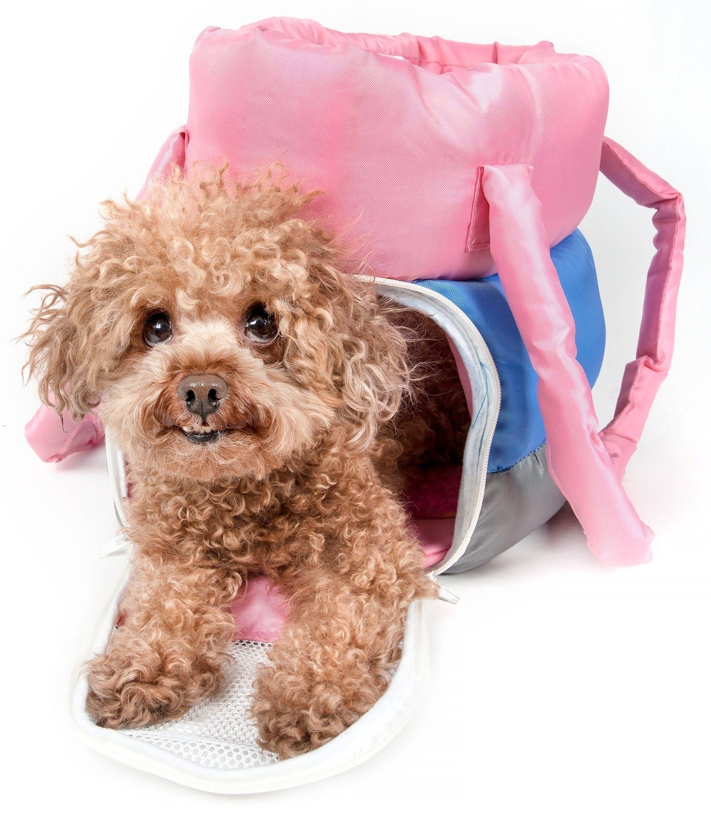 Pet Life ® 'Bubble-Poly' Tri-Colored Winter Insulated Fashion Designer Pet Dog Carrier