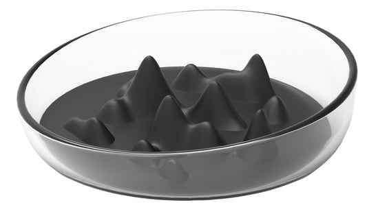Dog Bowl Slow Feeder Cirlicue Mountain Anti-Gulping Maze Dish