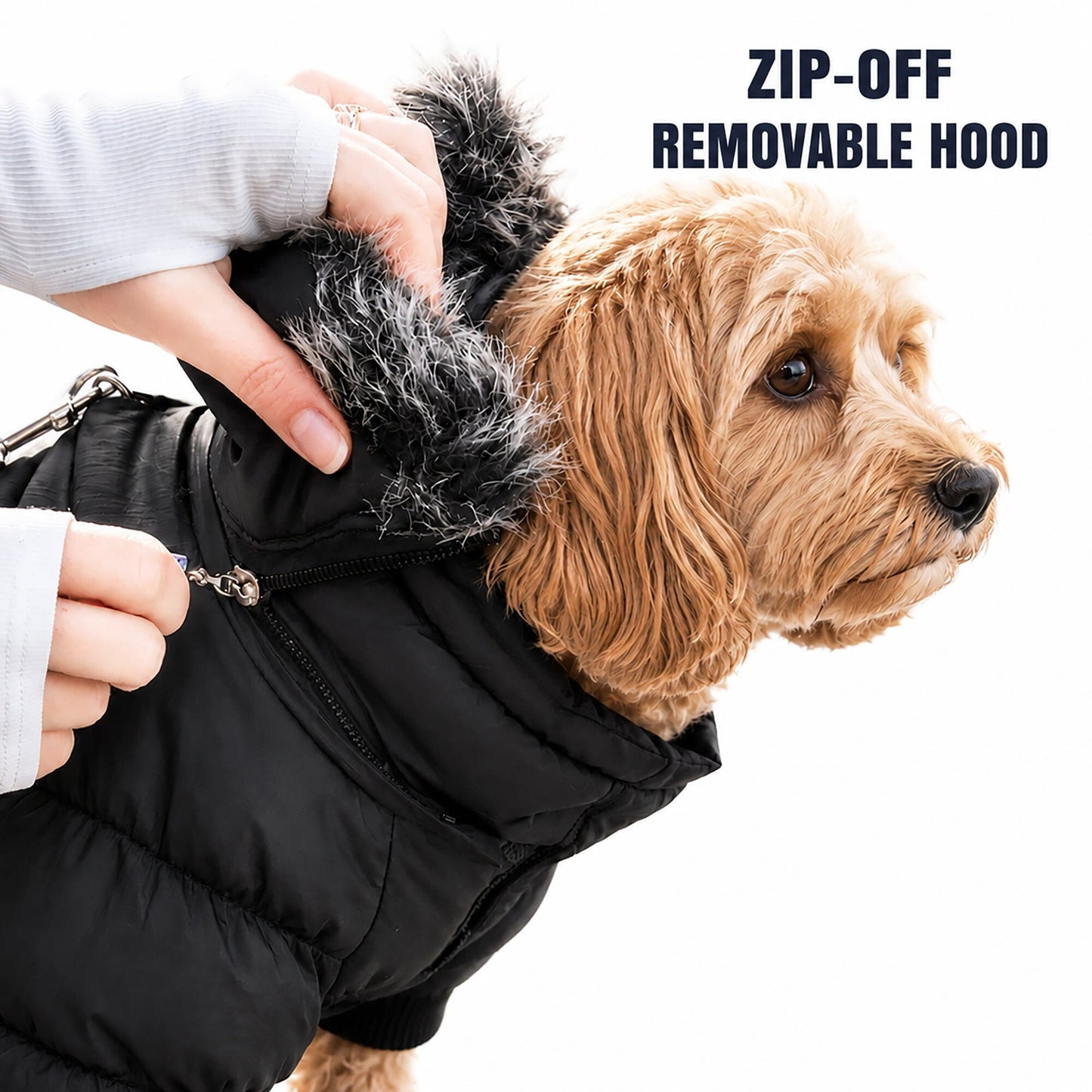 Pet Life ® Classic Metallic Fashion 3M Insulated Dog Coat Parka  w/ Removable Hood