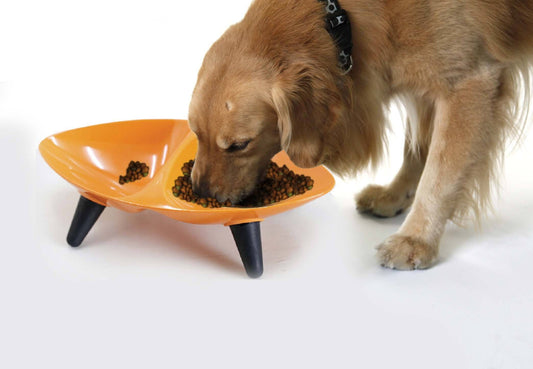 'Couture Sculptured' Dishwasher Safe Melamine Food and Water Double Pet Bowl