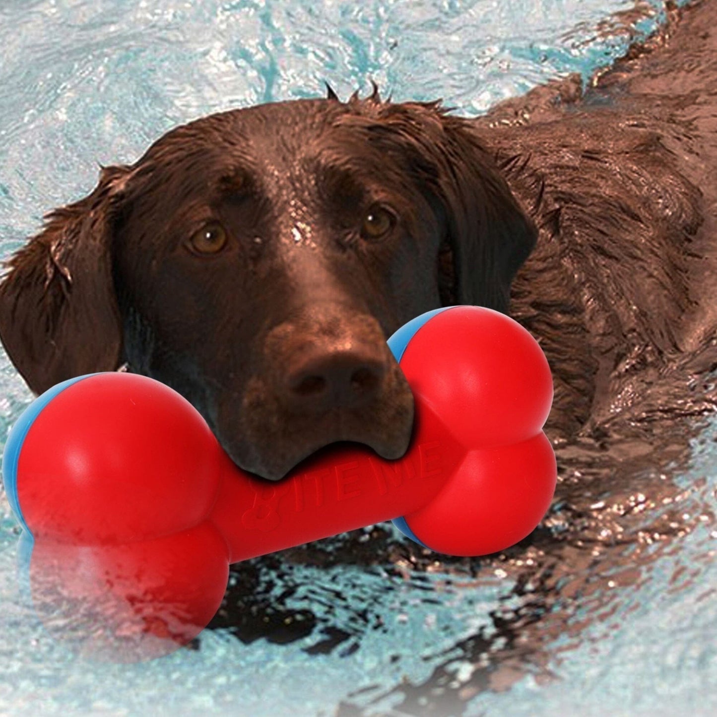 Pet Life ® 'Denta-Bone' TPR Durable Waterproof Floating Dog Toy