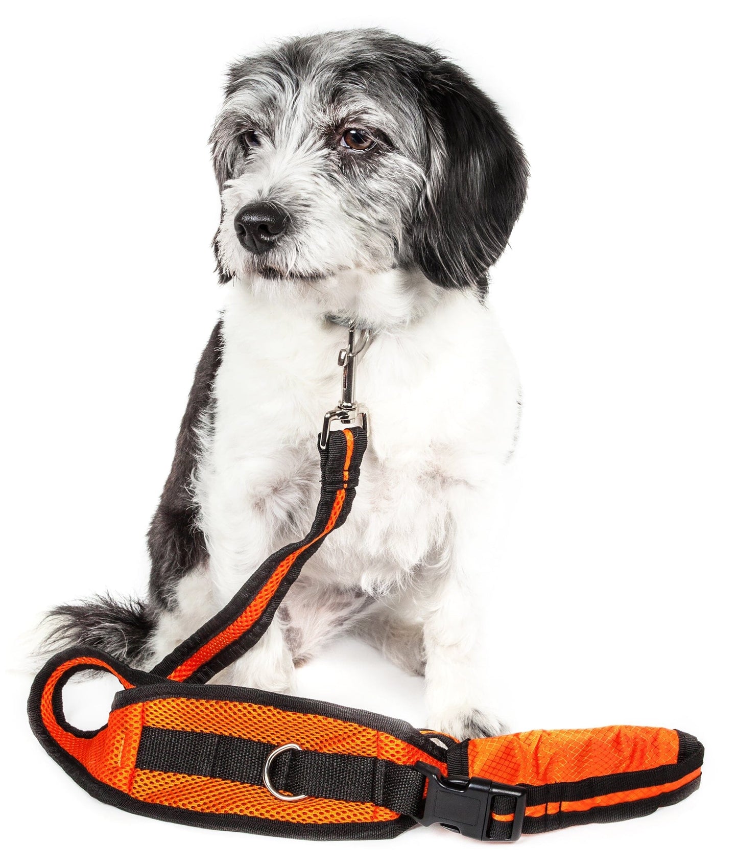 Pet Life ® 'Echelon' Hands Free and Convertible 2-In-1 Training Pet Dog Leash and Pet Belt Trainer