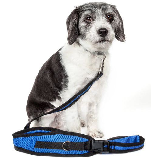 hs-free-dog-leash-2-in-1-waist-belt-training-walking-luxury-view-1 | Majestic Pet Kingdom