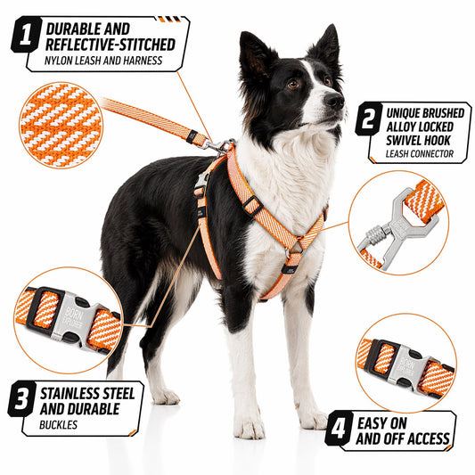 dog-harness-leash-set-2-in-1-convertible-outdoor-vest-luxury-view-2 | Majestic Pet Kingdom