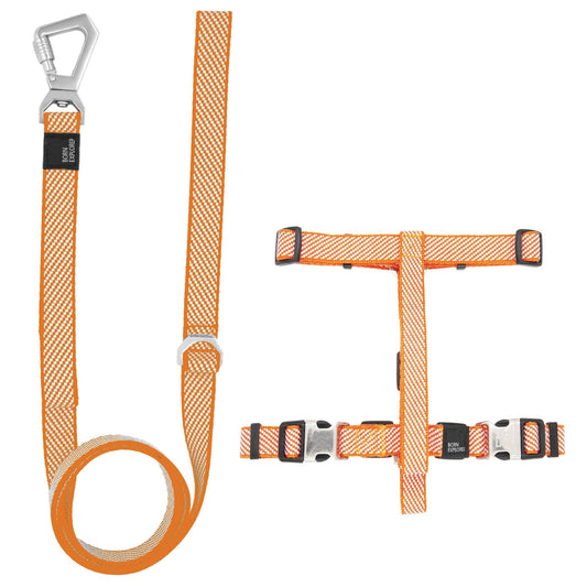 dog-harness-leash-set-2-in-1-convertible-outdoor-vest-luxury-view-1 | Majestic Pet Kingdom