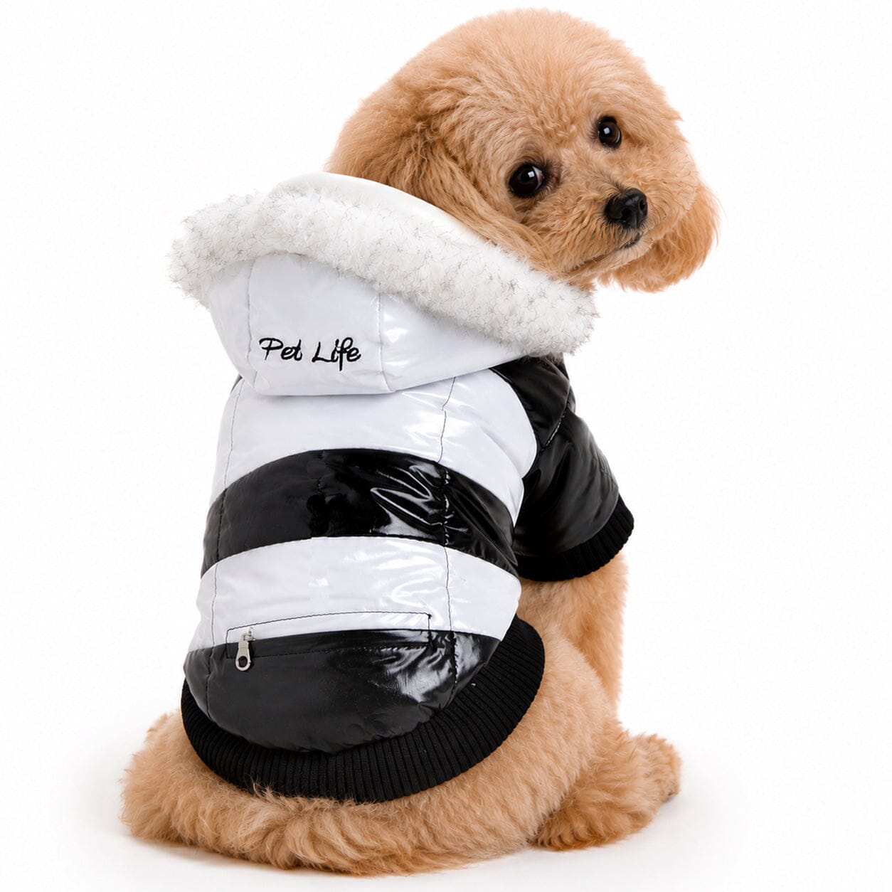 Pet Life ® Fashion Striped 3M Insulated Ultra-Plush Pet Dog Parka Coat w/ Removable Hood