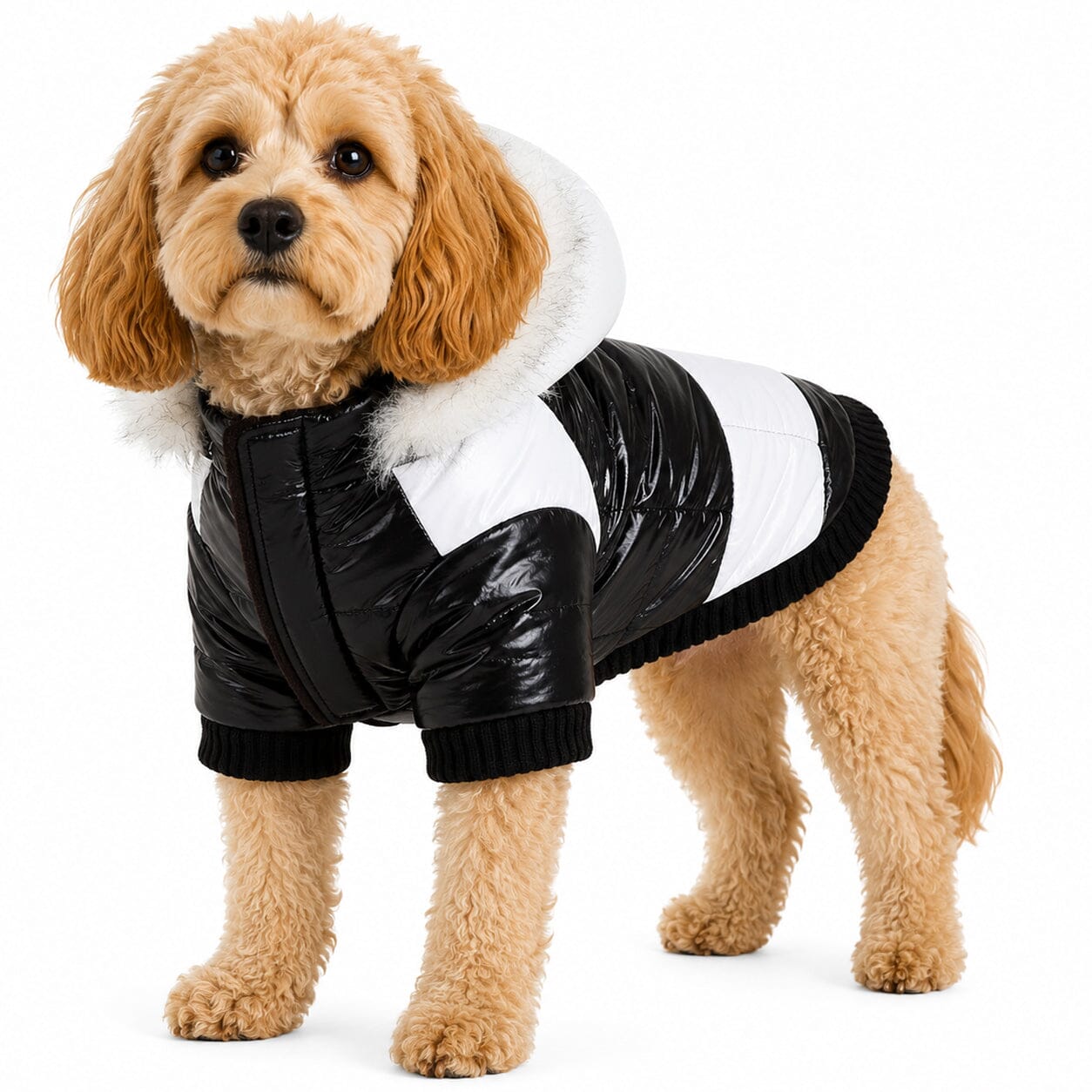 Pet Life ® Fashion Striped 3M Insulated Ultra-Plush Pet Dog Parka Coat w/ Removable Hood