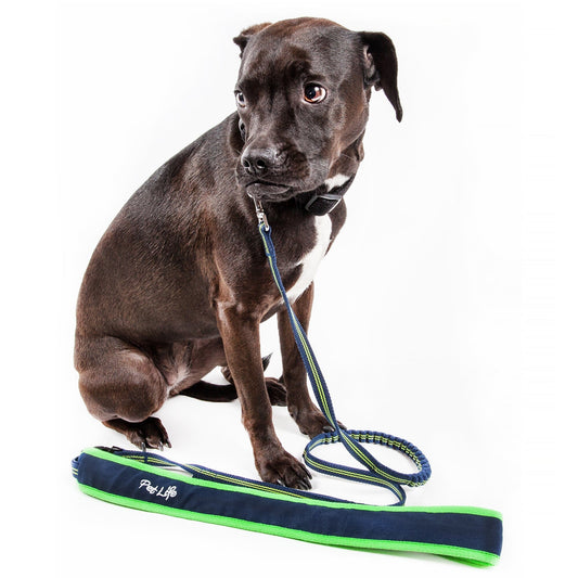 hs-free-dog-leash-over-shoulder-shock-absorbing-luxury-view-1 | Majestic Pet Kingdom