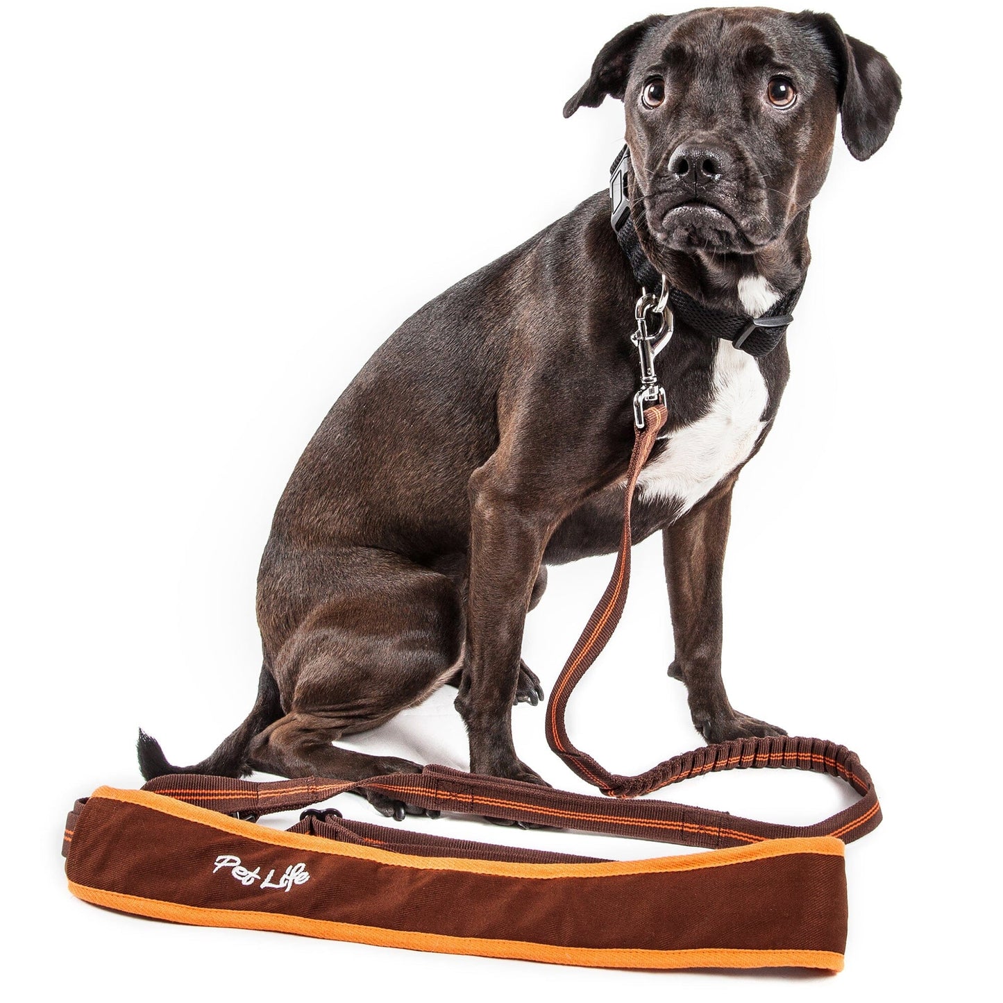 Pet Life ®  'Free-Fetcher' Hands Free Over-The-Shoulder Shock Absorbent Dog Leash
