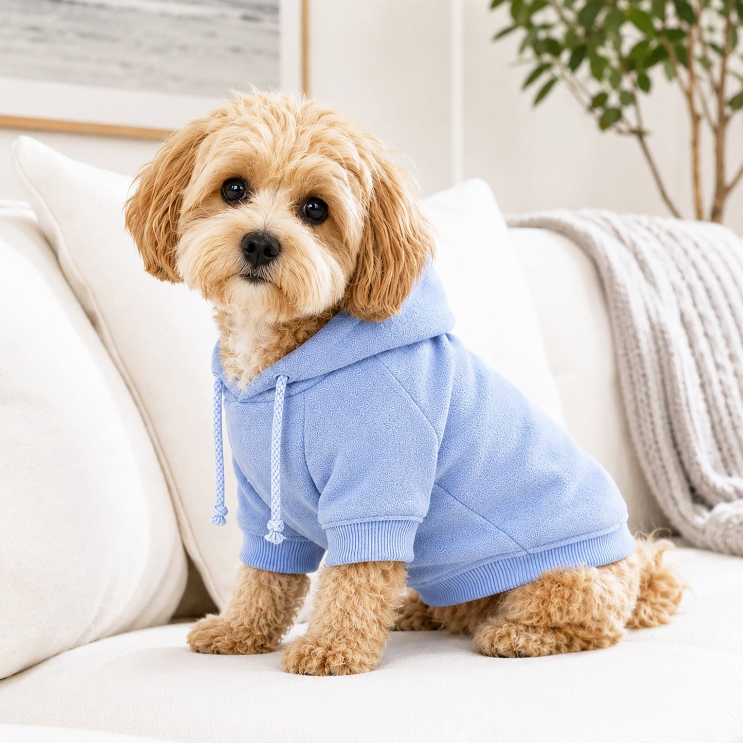 Pet Life ® French Terry Ultra-Soft Quick-Drying Hooded Dog Sweater