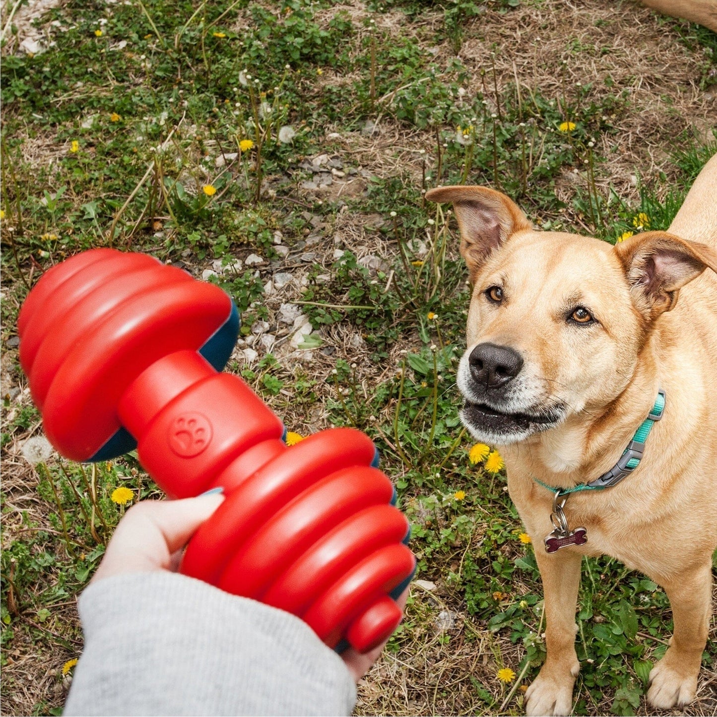 Pet Life ® 'Iron Wag' Durable Chew and Fetch TPR Waterproof Floating Dog Toy