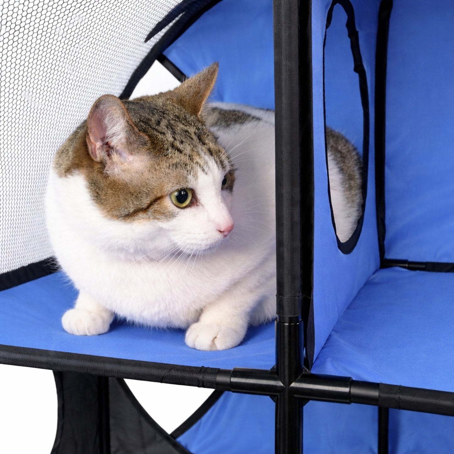 Pet Life ® 'Kitty-Play' Collapsible Travel Interactive Kitty Cat Tree Maze House Lounger Tunnel Lounge