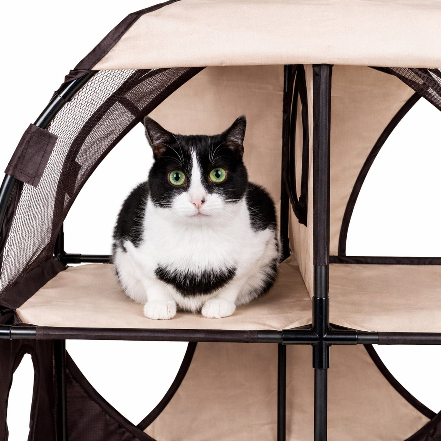 Pet Life ® 'Kitty-Play' Collapsible Travel Interactive Kitty Cat Tree Maze House Lounger Tunnel Lounge