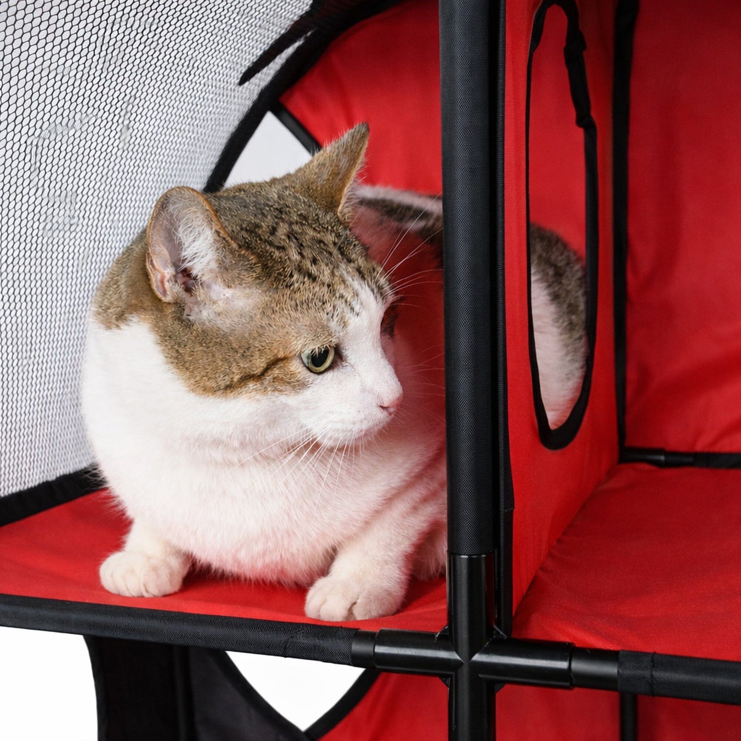 Pet Life ® 'Kitty-Play' Collapsible Travel Interactive Kitty Cat Tree Maze House Lounger Tunnel Lounge