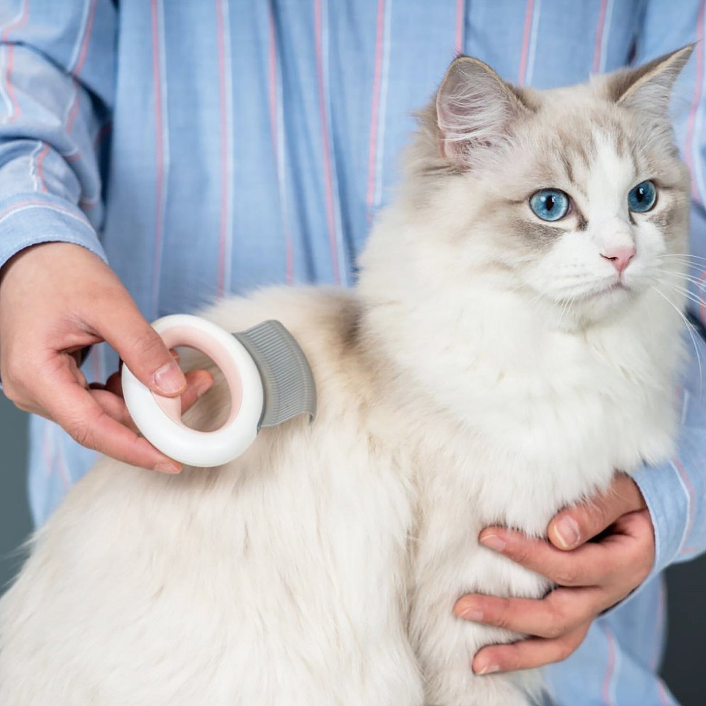 Pet Life ® 'Knuckler' Handheld Travel Flexible Grooming Pet Rake Comb