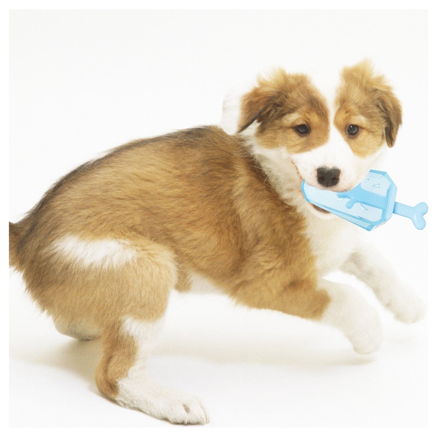Pet Life ® 'Lick & Gnaw' Cooling Ices Cone Freezable and Chewable Tossing Waterproof Floating Pet Dog Toy