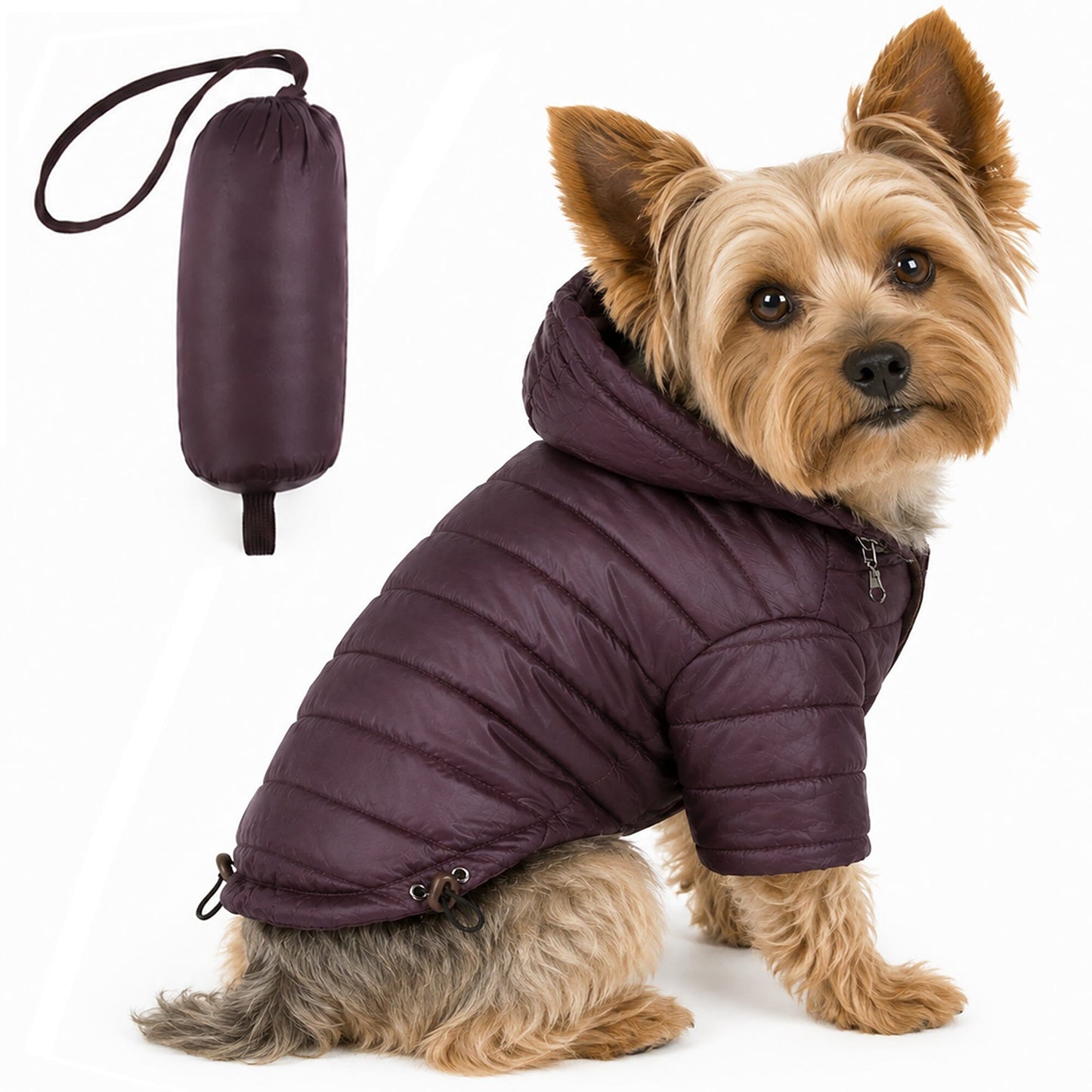 Pet Life ® Lightweight Adjustable and Collapsible 'Sporty Avalanche' Dog Coat w/ Pop-out Zippered Hood