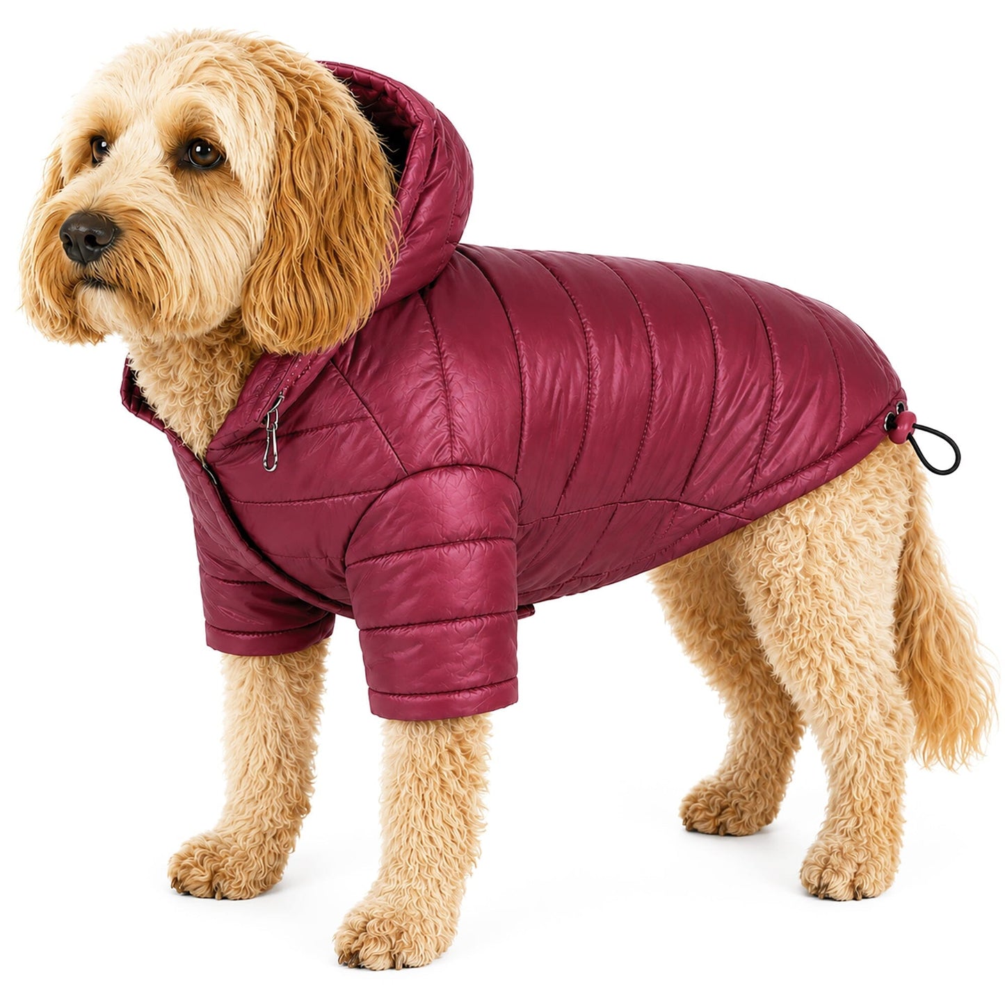 Pet Life ® Lightweight Adjustable and Collapsible 'Sporty Avalanche' Dog Coat w/ Pop-out Zippered Hood