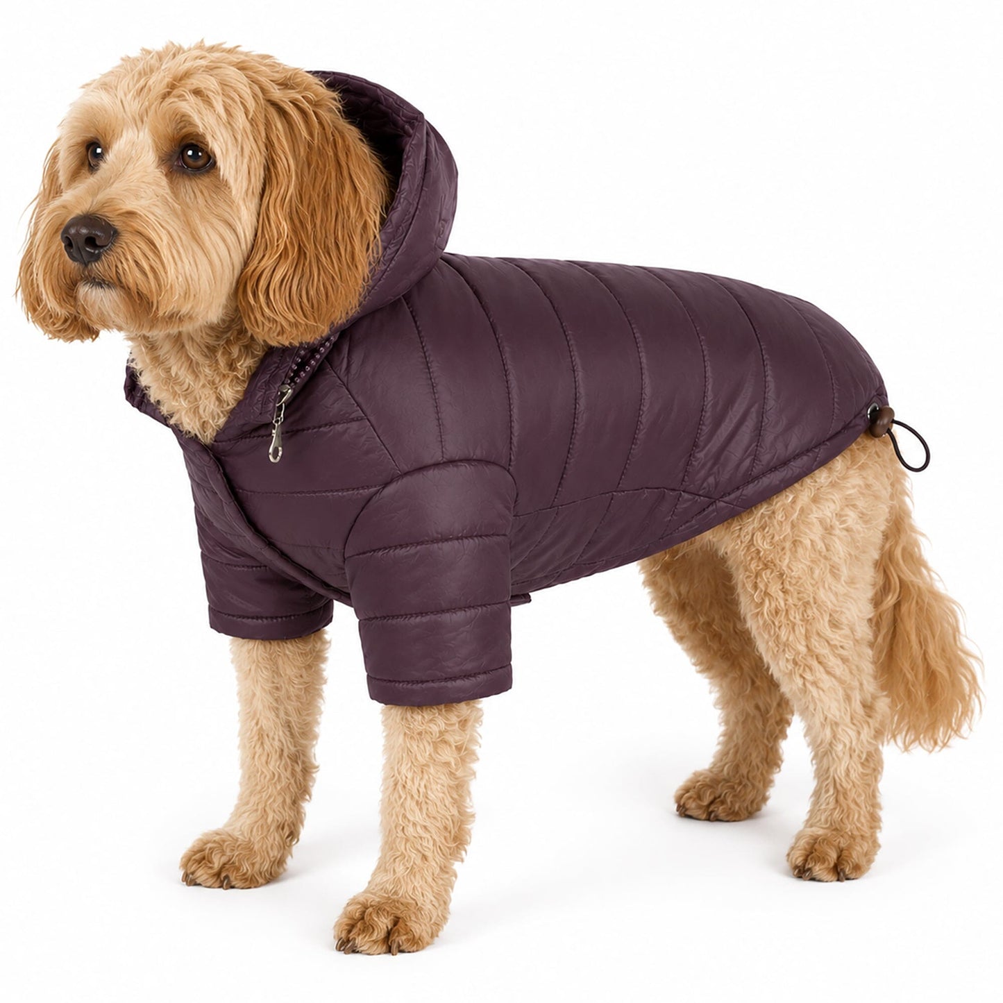 Pet Life ® Lightweight Adjustable and Collapsible 'Sporty Avalanche' Dog Coat w/ Pop-out Zippered Hood