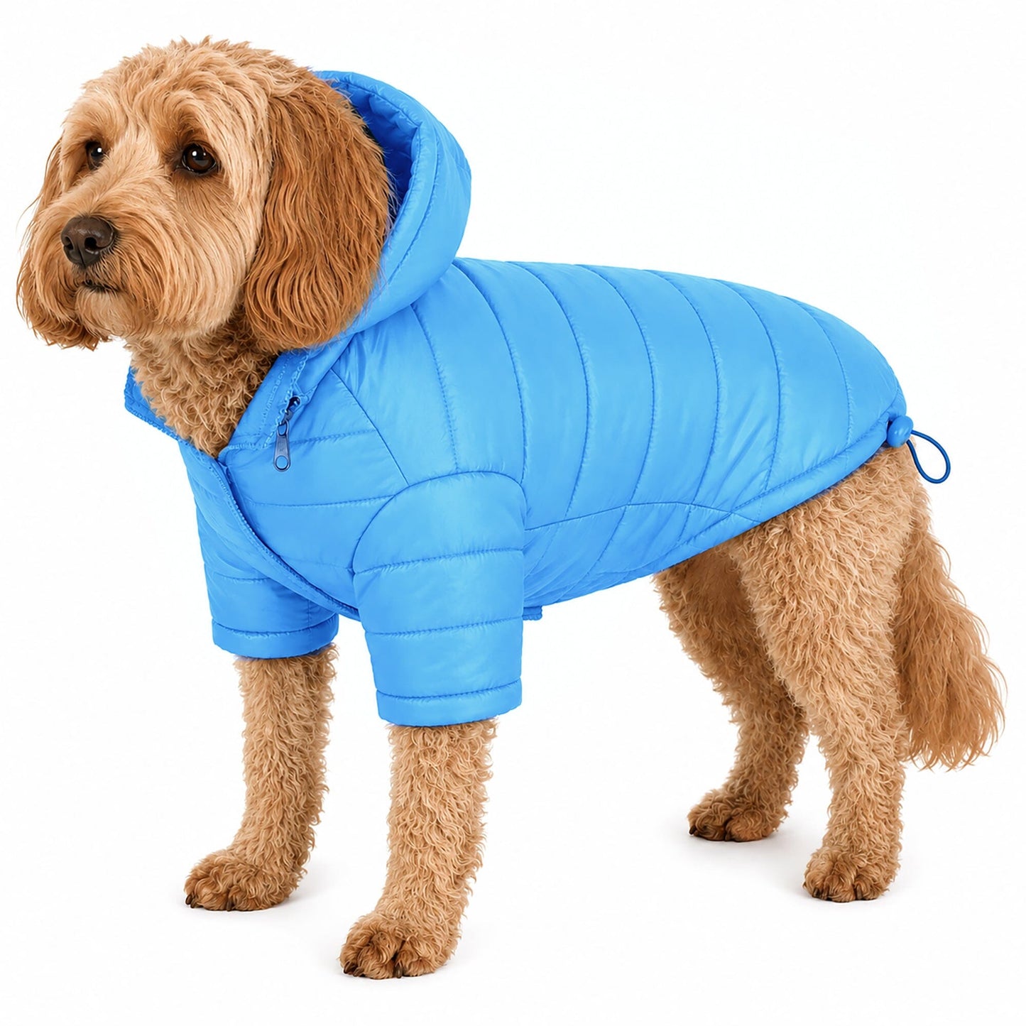 Pet Life ® Lightweight Adjustable and Collapsible 'Sporty Avalanche' Dog Coat w/ Pop-out Zippered Hood