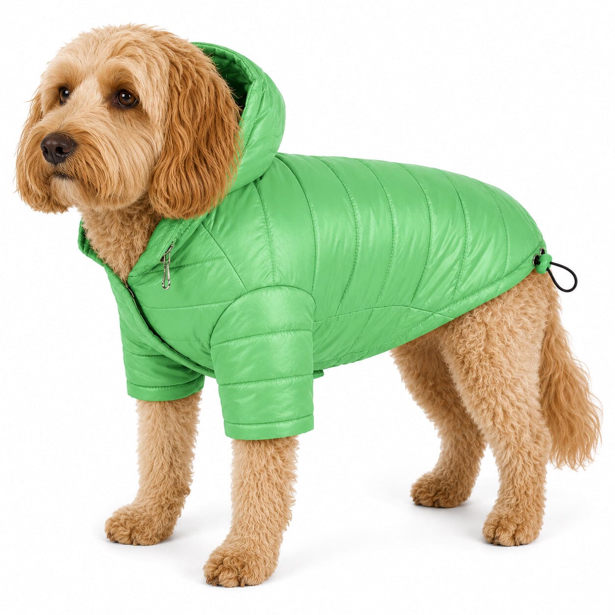 Pet Life ® Lightweight Adjustable and Collapsible 'Sporty Avalanche' Dog Coat w/ Pop-out Zippered Hood