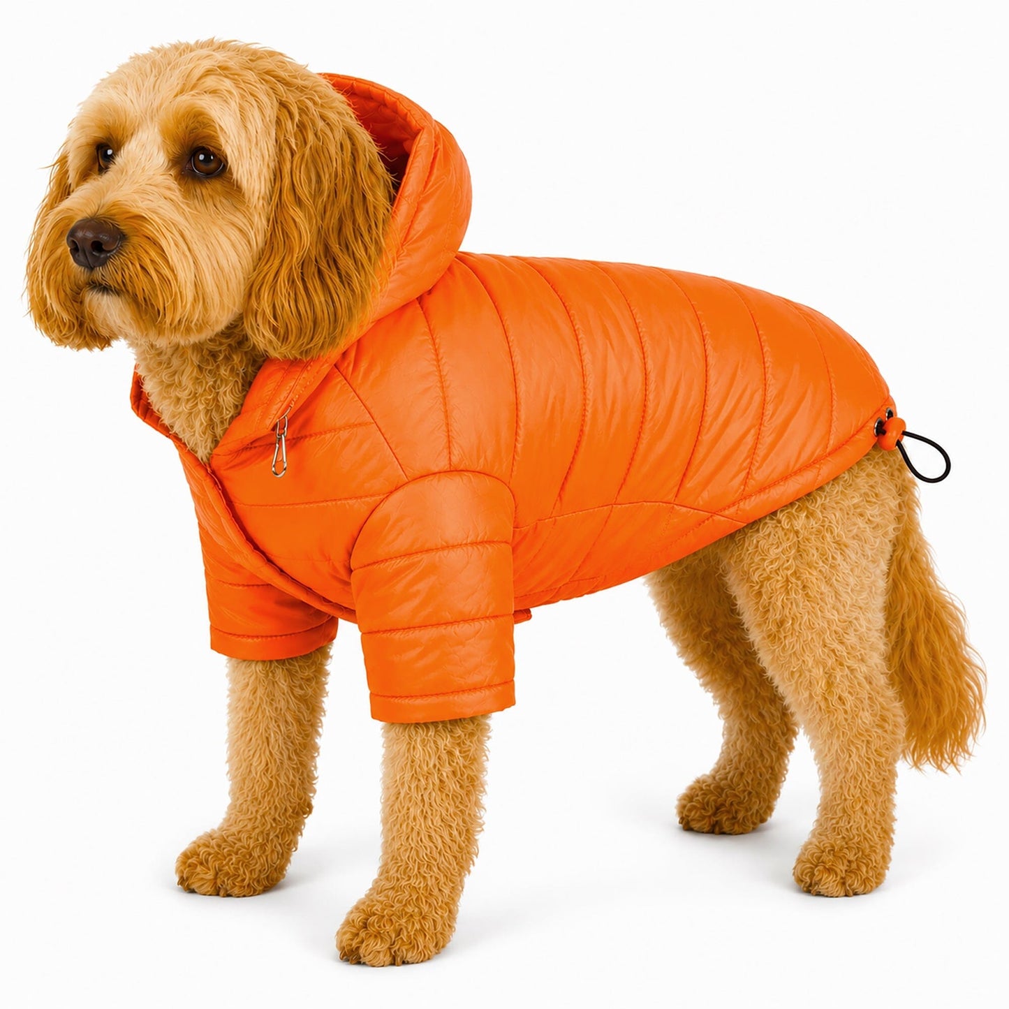 Pet Life ® Lightweight Adjustable and Collapsible 'Sporty Avalanche' Dog Coat w/ Pop-out Zippered Hood