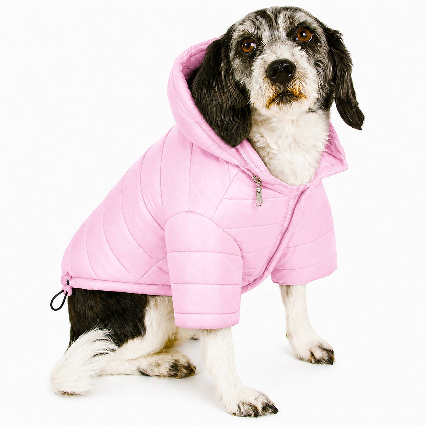 Pet Life ® Lightweight Adjustable and Collapsible 'Sporty Avalanche' Dog Coat w/ Pop-out Zippered Hood