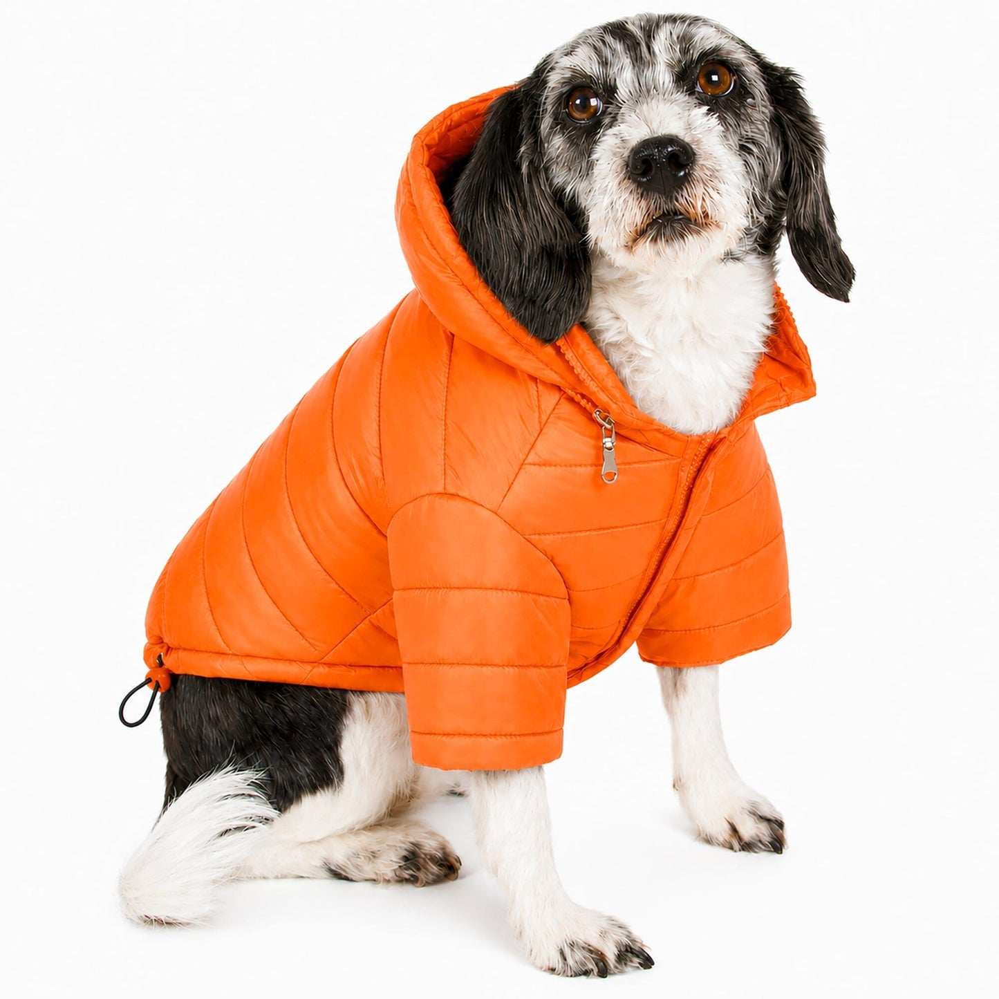 Pet Life ® Lightweight Adjustable and Collapsible 'Sporty Avalanche' Dog Coat w/ Pop-out Zippered Hood