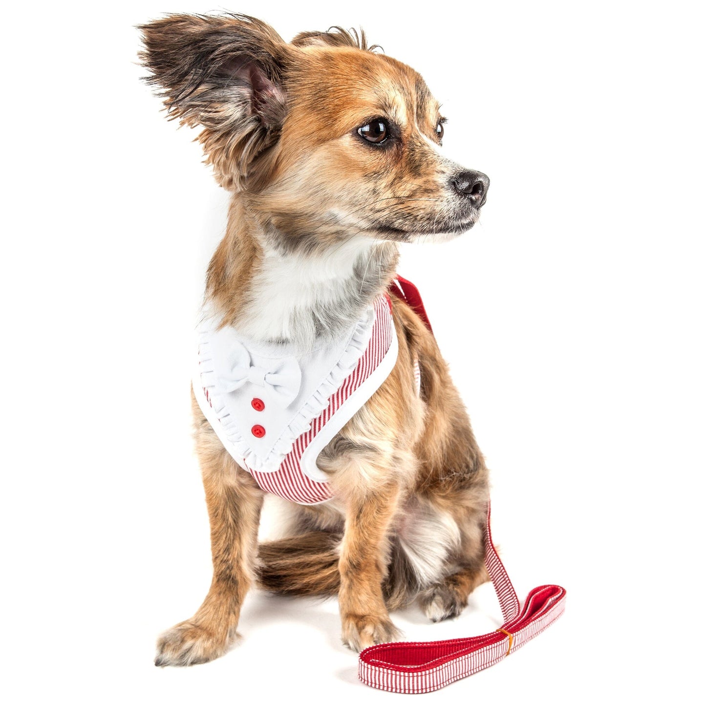 Pet Life ® Luxe 'Spawling' 2-In-1 Adjustable Fashion Dog Harness and Leash