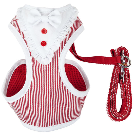 dog-harness-leash-set-luxury-designer-walking-vest-combo-luxury-view-1 | Majestic Pet Kingdom
