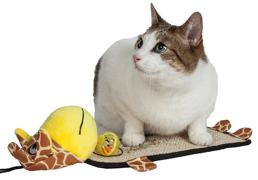 Cat Scratcher Paw-Pleasant Hanging Sisal Jute Carpet Mat Toy