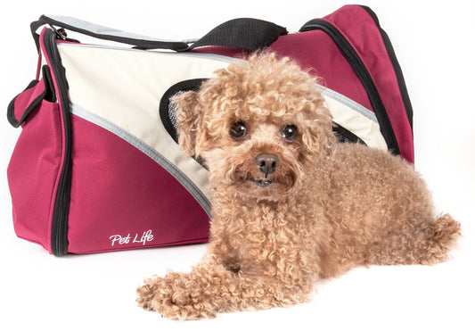 'Phenom-Air' Airline Approved Collapsible Fashion Designer Pet Dog Carrier
