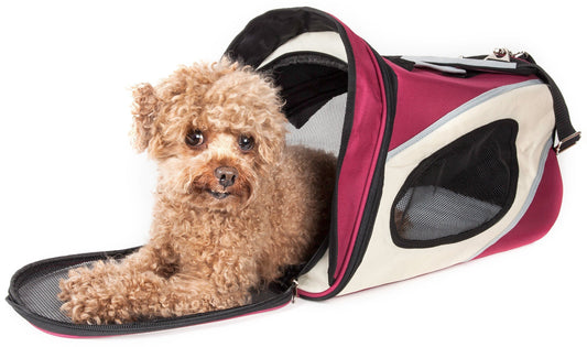 Dog Living Essential Secure Low - Premium Daily Wellness