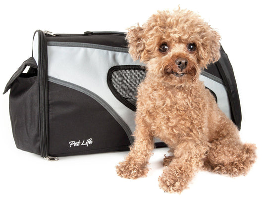 'Phenom-Air' Airline Approved Collapsible Fashion Designer Pet Dog Carrier