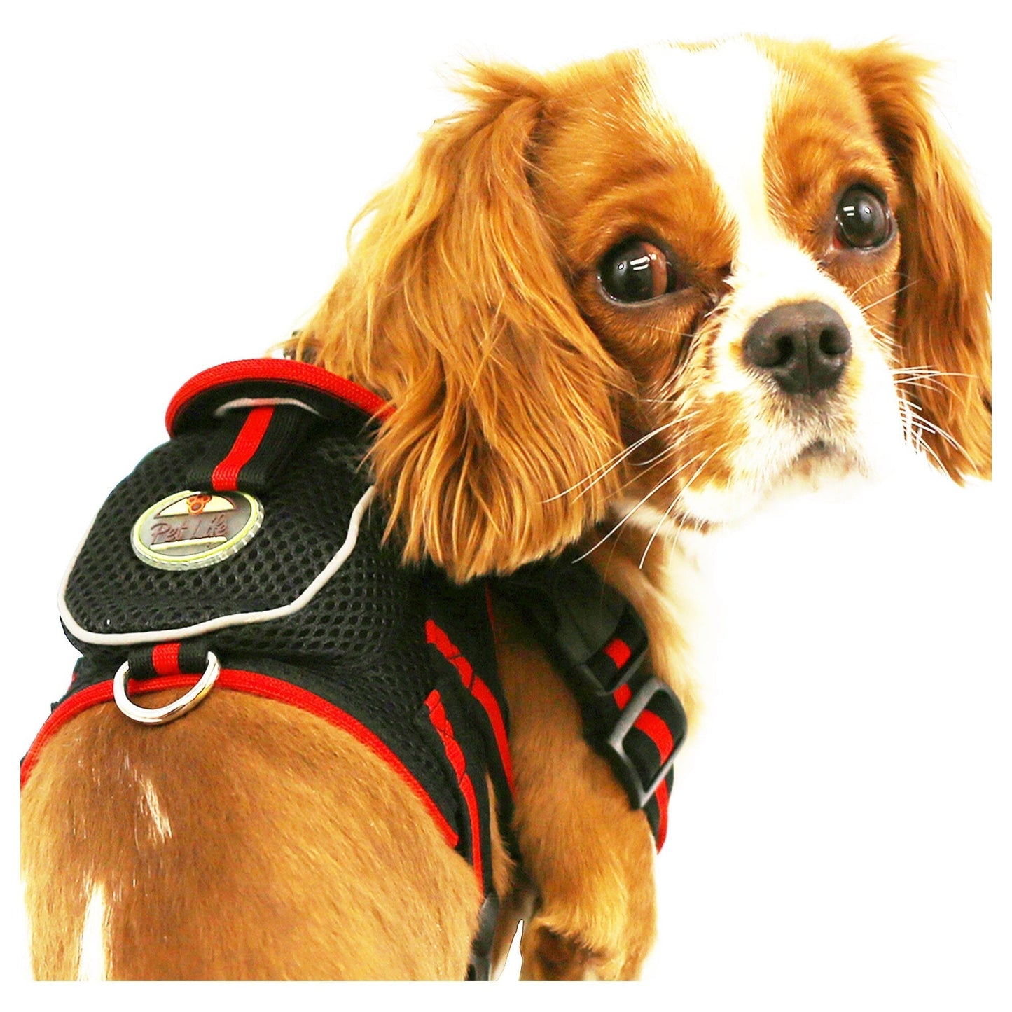 Pet Life ® 'Pocket Bark' Reflective Adjustable Fashion Pet Dog Harness w/ Hook-and-Loop Pouch and Dual Harness Rings