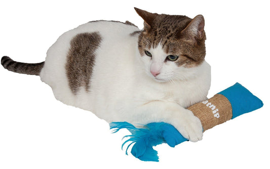 'Duffle Feathered' Squeak and Crinkle Teaser Plush Cat Toy