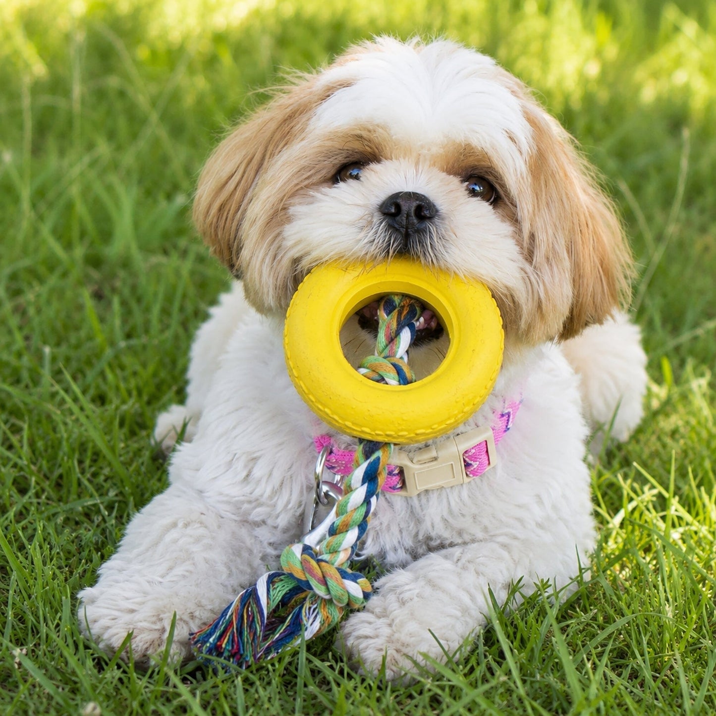Pet Life ® Rubberized Chew Jute Rope and Tire Pet Dog Toy