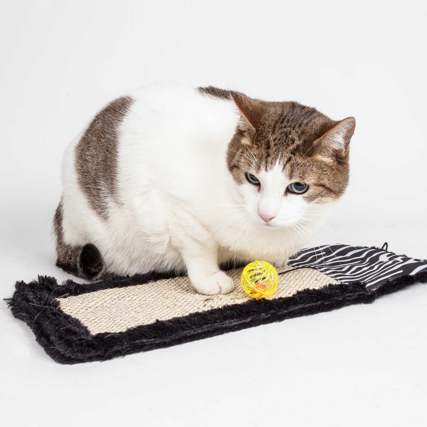 Pet Life ® 'Scrape-Away' Sisal and Jute Hanging Carpet Cat Scratcher Toy