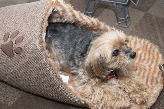 dog-slipper-bed-polar-fleece-novelty-warm-lounger-house-luxury-view-1 | Majestic Pet Kingdom